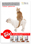 LETS BITE!