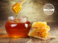 ЛОГОТИП «ЛИПОВЫЙ МЕД»