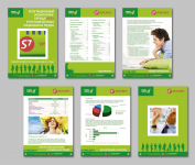 Отчет для авиакомпании S7, 36 стр.