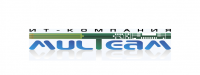 MulTeam, ИТ-компания