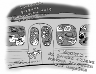 Работа 381535