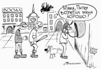Работа 381505