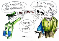 Работа 381504