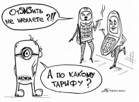 Работа 381481