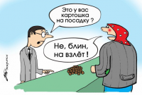 Работа 381457