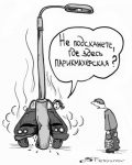 Работа 381446