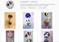 Продвижение аккаунтов о топиариях в "вконтакте" и "инстаграм"