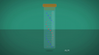 DNA