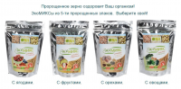 Сайт,  созданный на ресурсе Google Сайты.