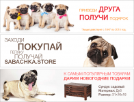 Баннеры и Мопсы