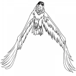 Falcon