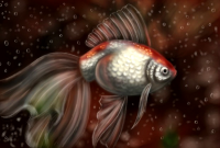 Золотая рыбка