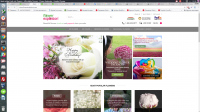 FlowerExplosion (Magento)