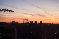 Работа 2993365