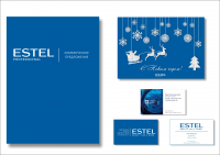 для представительства Estel