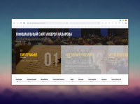 Вариант дизайна официального сайта депутата