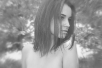 Работа 2987127