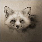 Vulpes