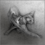 Sphynx