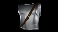 Chest