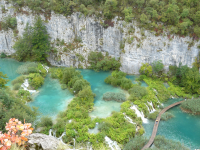 Работа 2859080