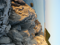 Работа 2859075