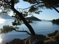 Работа 2859072