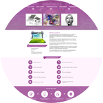 Верстка и интеграция на CMS Wordpress