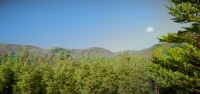 Лес в Unity 5