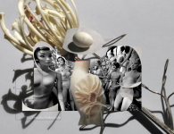 коллаж токамичи