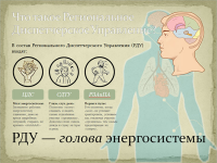 Пример презентации