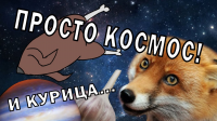 Курица в космосе!