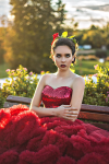 Проект RED