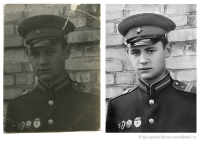 Работа 2993014
