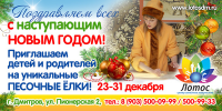 Билборд для Лотос, приглашение на новогодний праздник