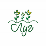 Гастроном здоровых продуктов