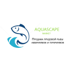 Работа 2823331