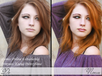 Работа 2626250