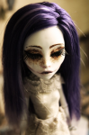 DOLL