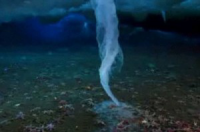 Брайникл-смертоносная сосулька