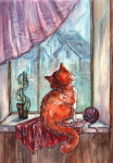 Кошка Муся. 1