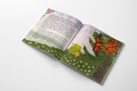 Книжка