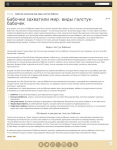 Бабочки захватили мир!