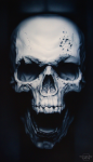 Skull