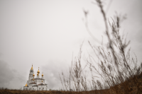 Работа 2820701