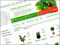 Фикус 2.0