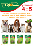 акция