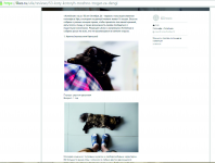 Обзорная статья про Антикафе "Котейная"