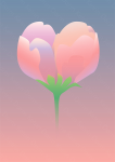 Peony