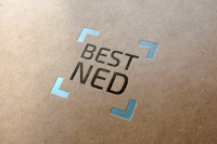 BestNED